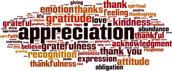 Dealing with Loss with Appreciation #138